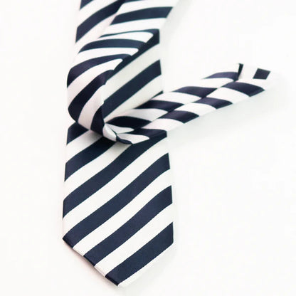 Blue & White Striped Tie & Pocket Square Set | Premium Men’s Formal Striped Tie | Classic Blue & White Design NB Collection Shop